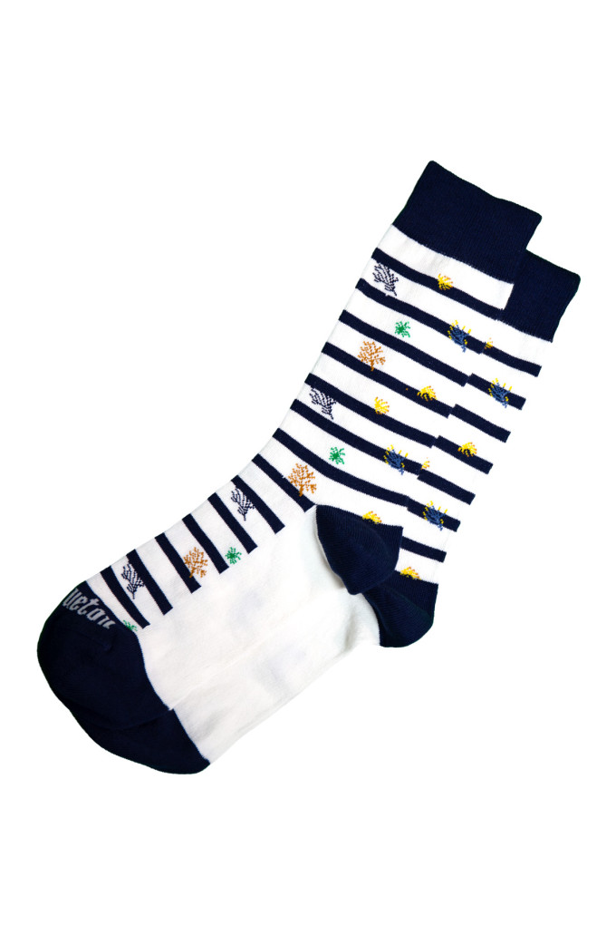 LOER SPECIAL SALICORNE VETIVER