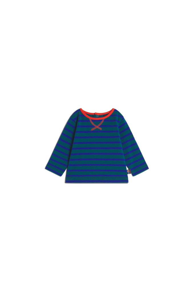 IRUS BICOLORE EMERAUDE - COBALT