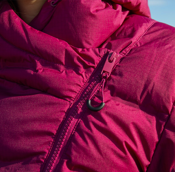 Pensée pour l'hiver